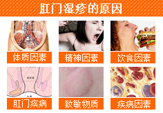 肛门湿疹的原因